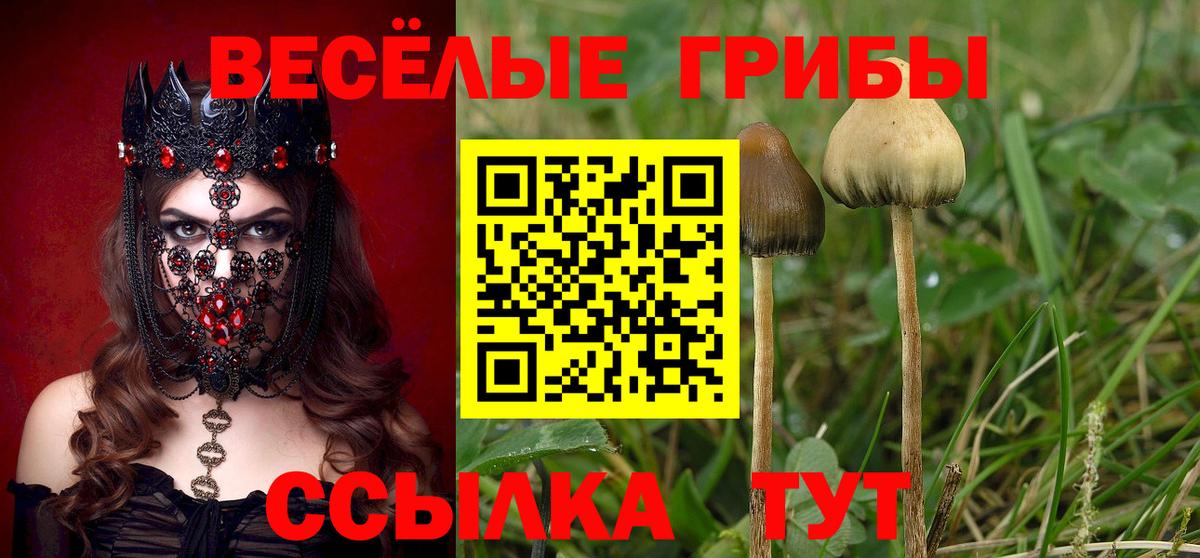 Владивосток  Псилоцибиновые грибы Magic Shrooms  Вход с VPN  Псилоцибиновые грибы мухоморы 